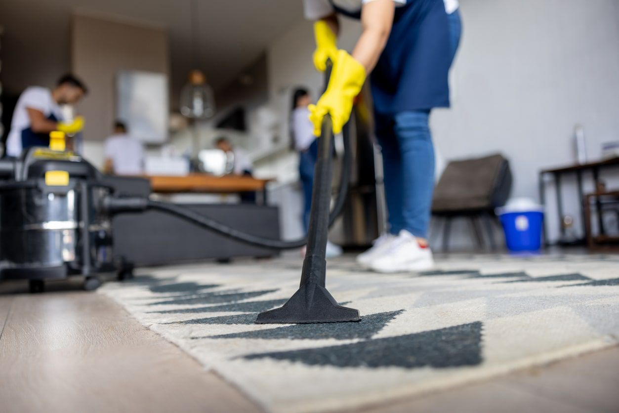 Professional cleaning team